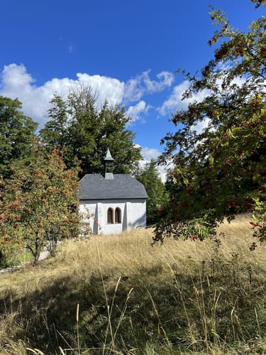 Wildnispfad Baden-Baden
