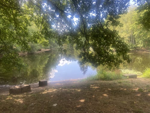 Wildpark Ludweiler und Wadgassen-Differten - Warndtweiher