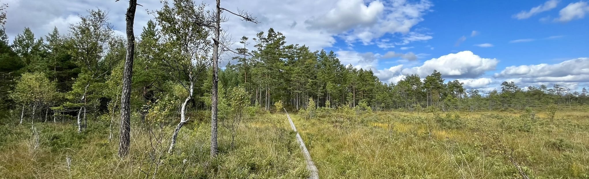 Vargaviddernas Nature Reserve Gryten Loop, Örebro, Sweden - 8 Reviews ...