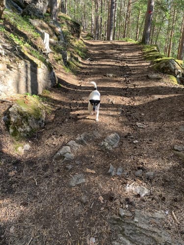 Best 10 Hikes and Trails in Junkerdal National Park | AllTrails