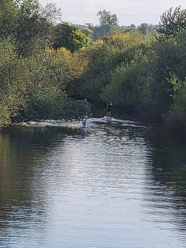 Naturschutzgebiet Alte Leine  ab Grasdorf
