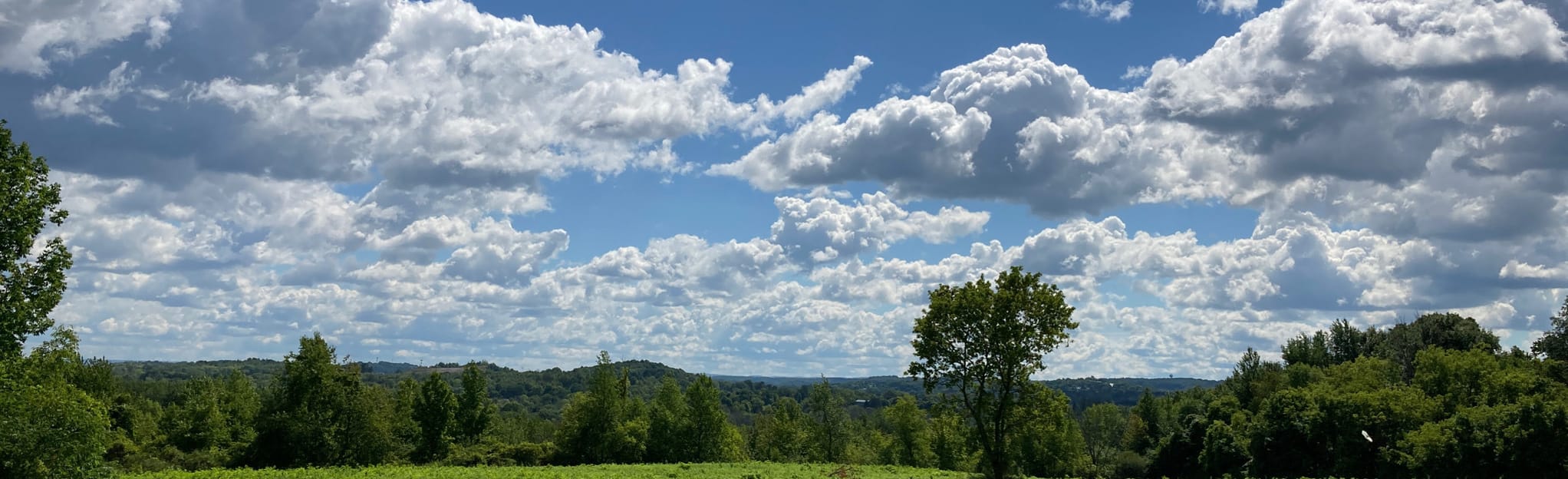 Camillus Unique Area 1 and 2 Trail Loop 36 Reviews, Map New York