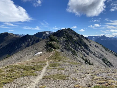 Best Snowshoeing Trails in Olympic National Park | AllTrails