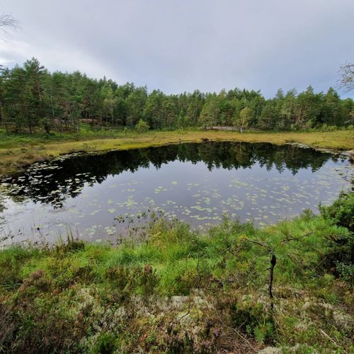 2023 Best Views Trails in Kynnefjäll naturreservat | AllTrails