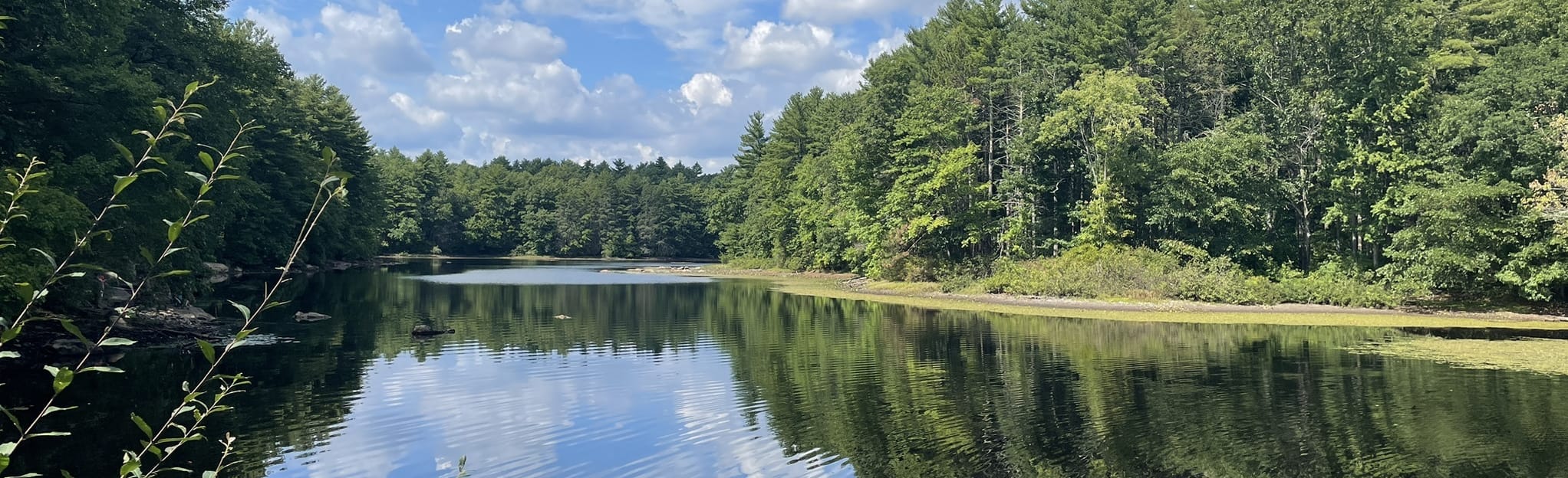 Sunset Lake Loop 447 Reviews, Map Massachusetts AllTrails