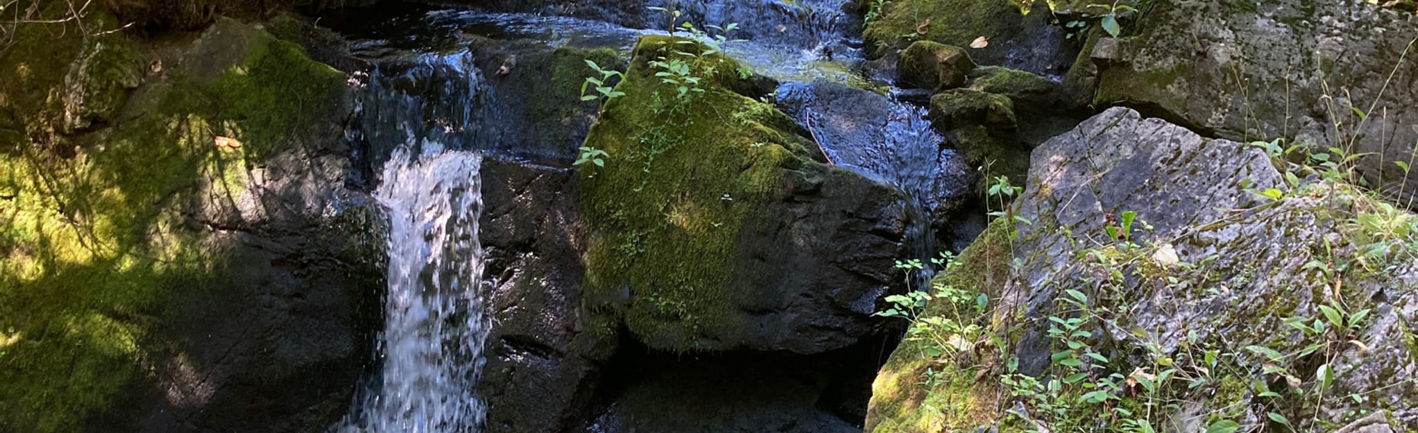 Cabano SaintLouisduHa!Ha! SaintHonorédeTémiscouata 2