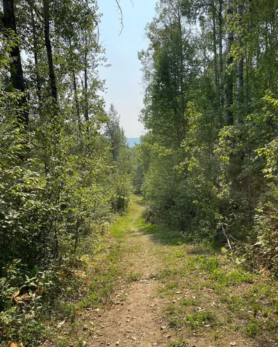 2023 Best Views Trails in Drayton Valley | AllTrails