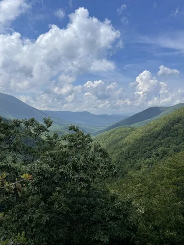 Best Hikes and Trails in Thunder Ridge Wilderness | AllTrails