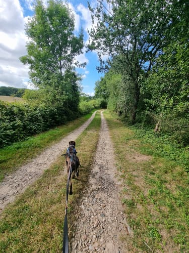 Wanderroute 10: Groß Wittensee - Kirchhorst