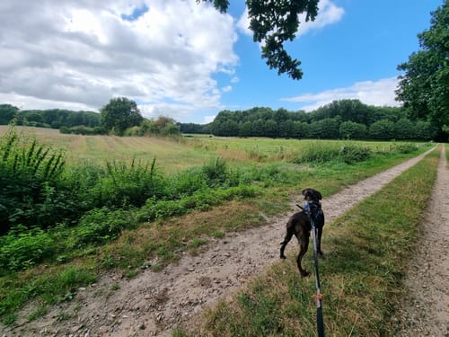Wanderroute 10: Groß Wittensee - Kirchhorst