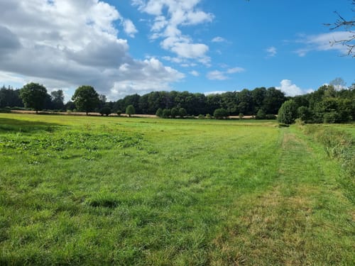 Wanderroute 10: Groß Wittensee - Kirchhorst