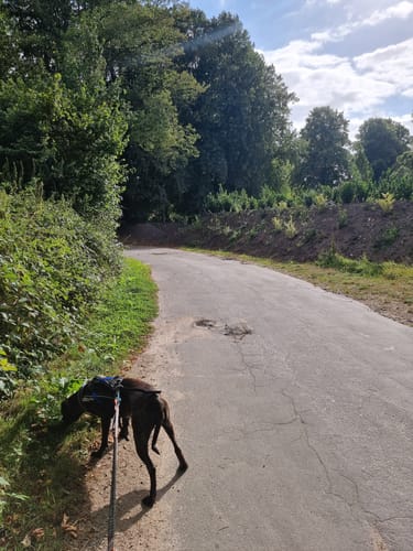 Wanderroute 10: Groß Wittensee - Kirchhorst