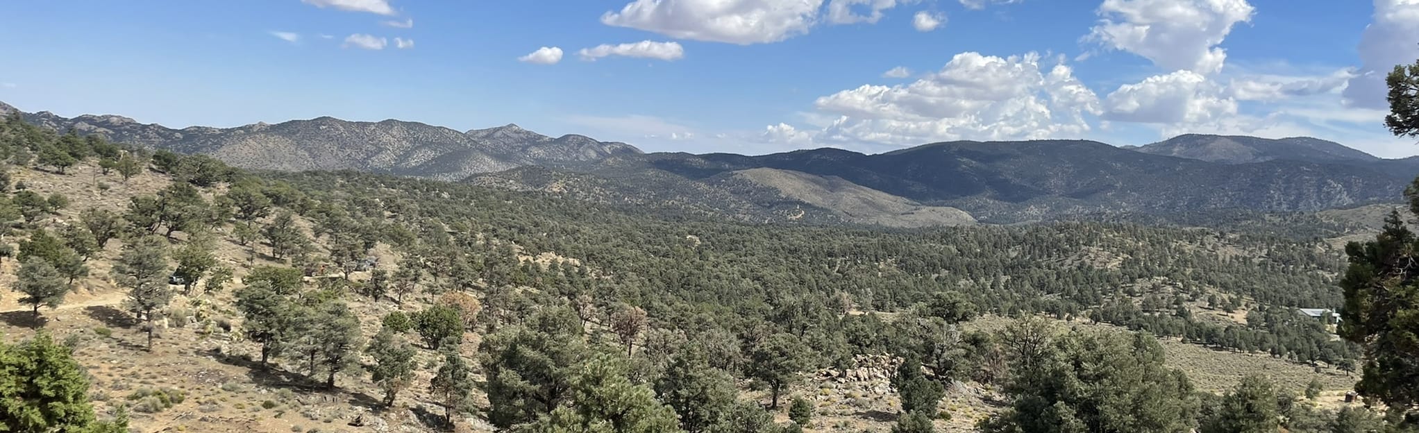 Pioneertown to Big Bear OHV Route 565 foto California AllTrails