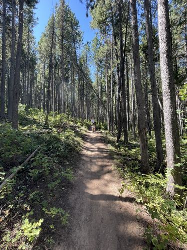 2023 Best 10 Trails and Hikes in Victor | AllTrails