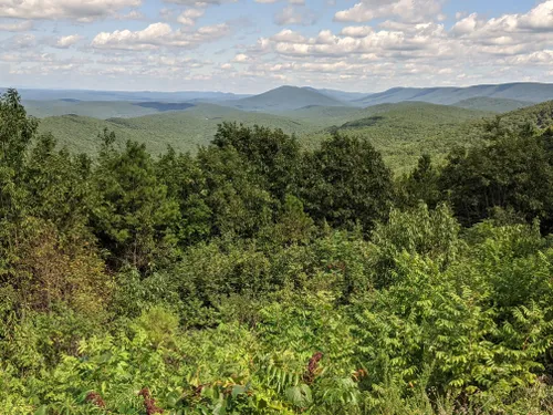 Best Hikes And Trails In Black Fork Mountain Wilderness 