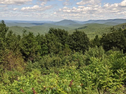 Best Hikes and Trails in Black Fork Mountain Wilderness | AllTrails