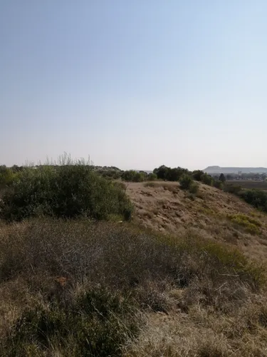 EXPLORE BLOEMFONTEIN FREE STATE SOUTH AFRICA visual data 7