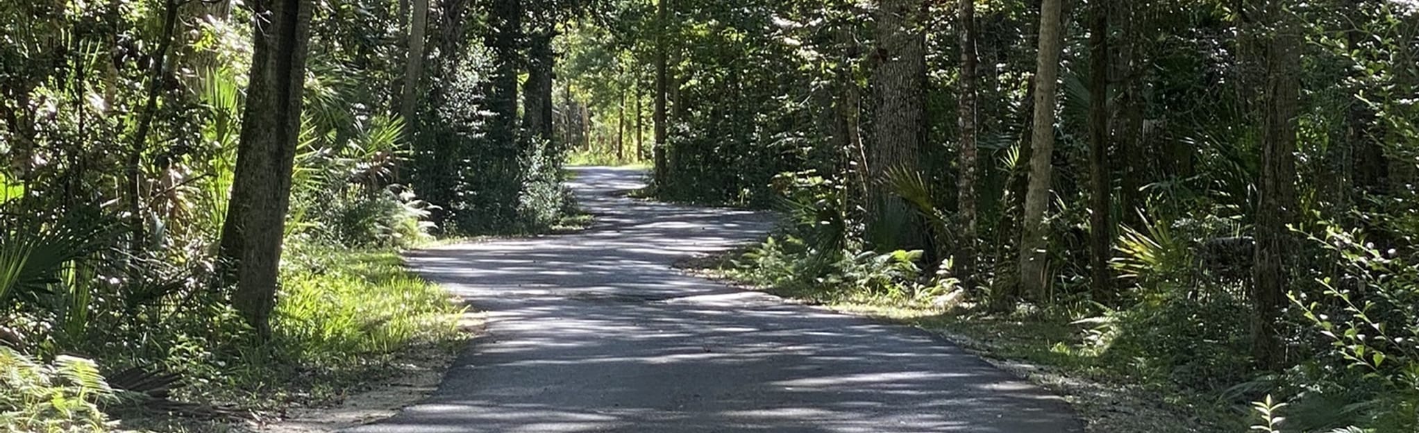 AllTrails Pepper Creek Trail 14 Reviews, Map Florida