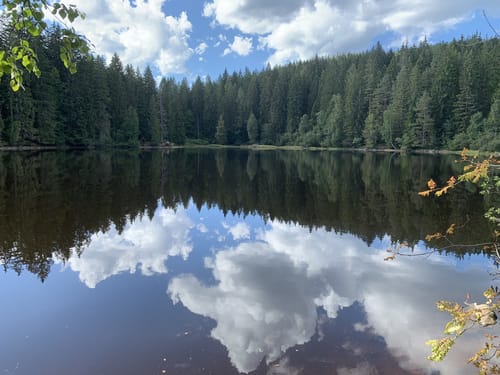 Zum Mathisleweiher