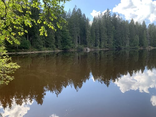 Zum Mathisleweiher