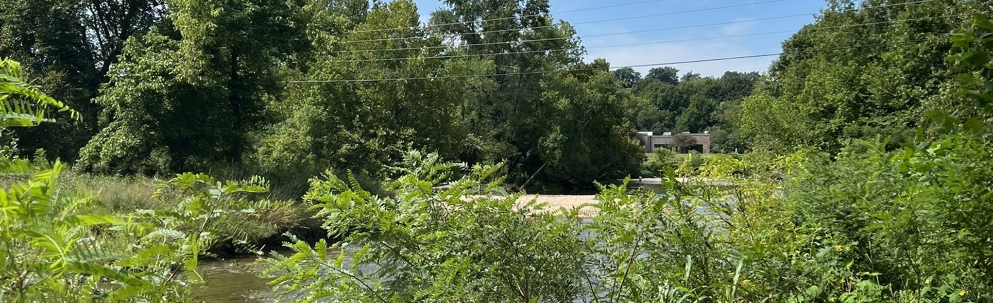 Wonderland Lollipop via Razorback - EyJidWNrZXQiOiJhc3NldHMuYWxsdHJhaWxzLmNvbSIsImtleSI6InVwbG9hZHMvcGhvdG8vaW1hZ2UvNTE2NTc3NDkvYzkyZWI0YjhjMGI4MWViZDI3YTA0Y2RkMzQ2NTQ1MWMuanBnIiwiZWRpdHMiOnsidG9Gb3JtYXQiOiJqcGVnIiwicmVzaXplIjp7IndpZHRoIjoyMDQ0LCJoZWlnaHQiOjYyNCwiZml0IjoiY292ZXIifSwicm90YXRlIjpudWxsLCJqcGVnIjp7InRyZWxsaXNRdWFudGlzYXRpb24iOnRydWUsIm92ZXJzaG9vdERlcmluZ2luZyI6dHJ1ZSwib3B0aW1pc2VTY2FucyI6dHJ1ZSwicXVhbnRpc2F0aW9uVGFibGUiOjN9fX0=