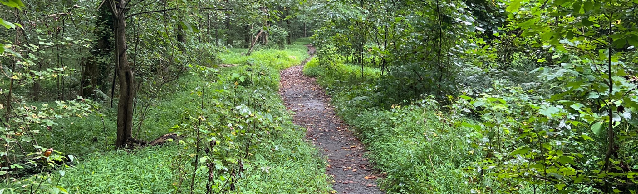 Cascade Springs Nature Preserve Outer Loop AllTrails