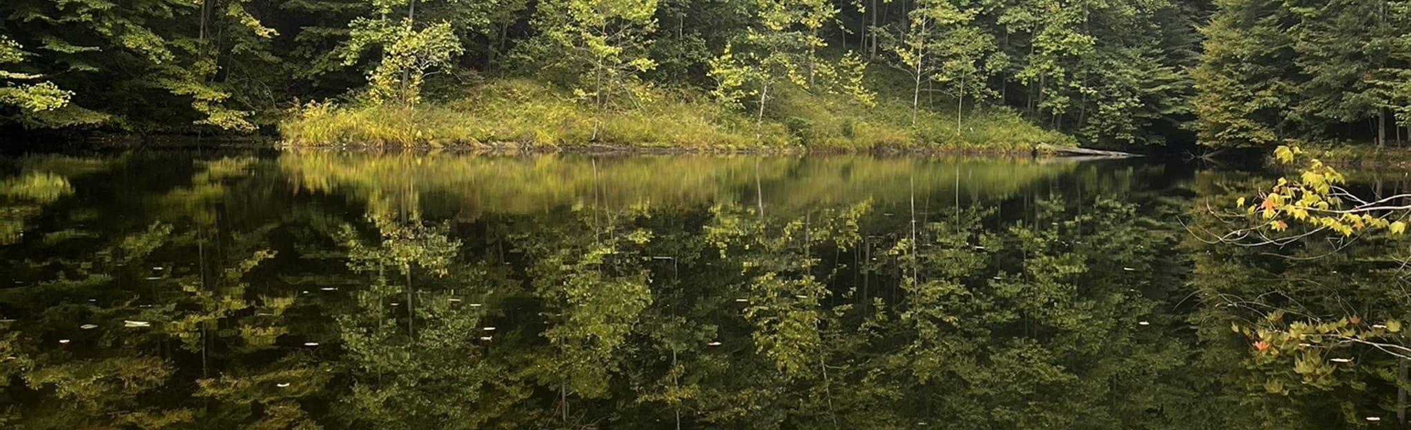 AllTrails Mountain Tea State Forest Cabin and Pond 132 Reviews, Map