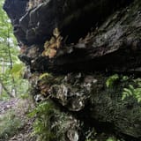 Clear Creek Bicycle Trail Alabama - EyJidWNrZXQiOiJhc3NldHMuYWxsdHJhaWxzLmNvbSIsImtleSI6InVwbG9hZHMvcGhvdG8vaW1hZ2UvNTE2NjI1NzMvMzI3Yzk1ZTYwYzg1ZTgzODlhZGJjMTI4ZGIxNTRkM2YuanBnIiwiZWRpdHMiOnsidG9Gb3JtYXQiOiJqcGVnIiwicmVzaXplIjp7IndpZHRoIjoxNjAsImhlaWdodCI6MTYwLCJmaXQiOiJjb3ZlciJ9LCJyb3RhdGUiOm51bGwsImpwZWciOnsidHJlbGxpc1F1YW50aXNhdGlvbiI6dHJ1ZSwib3ZlcnNob290RGVyaW5naW5nIjp0cnVlLCJvcHRpbWlzZVNjYW5zIjp0cnVlLCJxdWFudGlzYXRpb25UYWJsZSI6M319fQ==