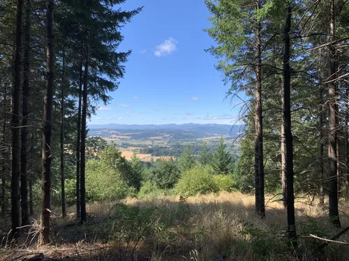 Best Hikes and Trails in Chehalem Ridge Natural Area | AllTrails