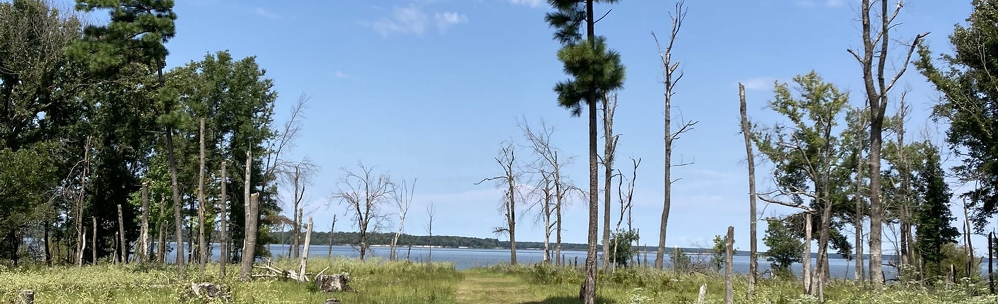 Atlanta Volksmarch Trail to Wright Patman Lake Texas AllTrails