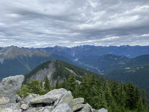 are dogs allowed in mt baker wilderness