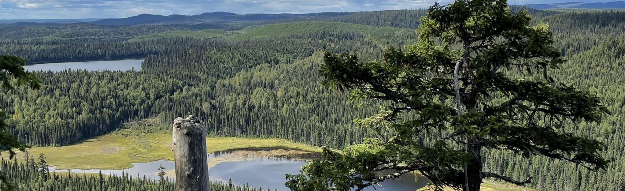 Teapot Mountain Trail, British Columbia, Canada 189 Reviews, Map