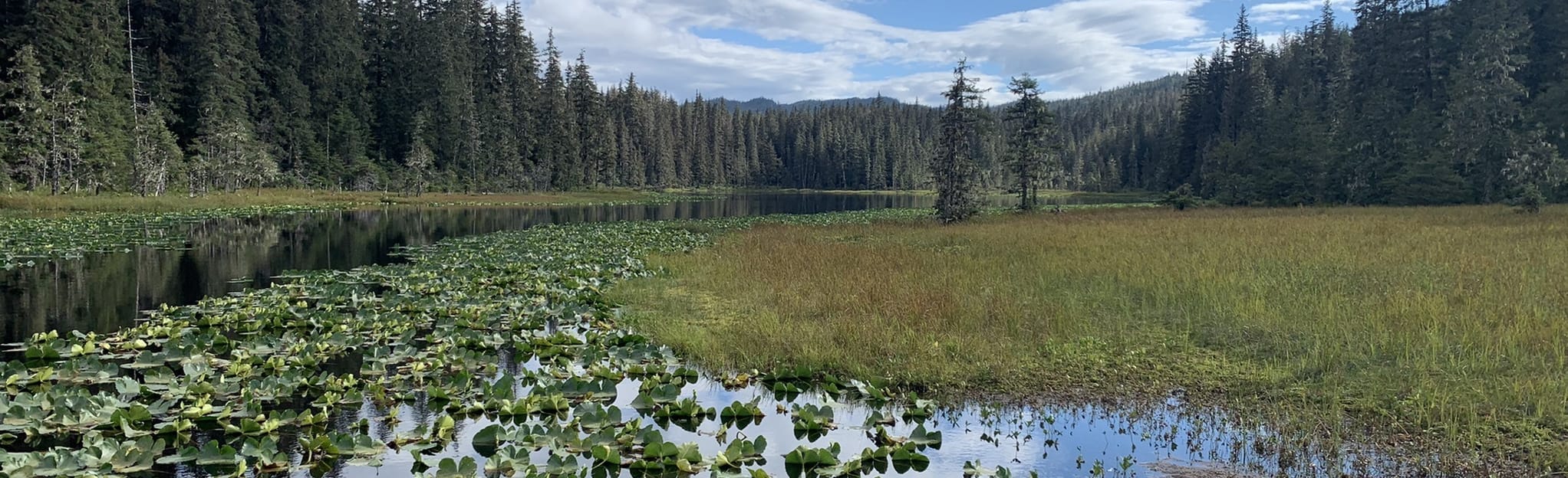 Peterson Lake Trail 89 Reviews, Map Alaska AllTrails