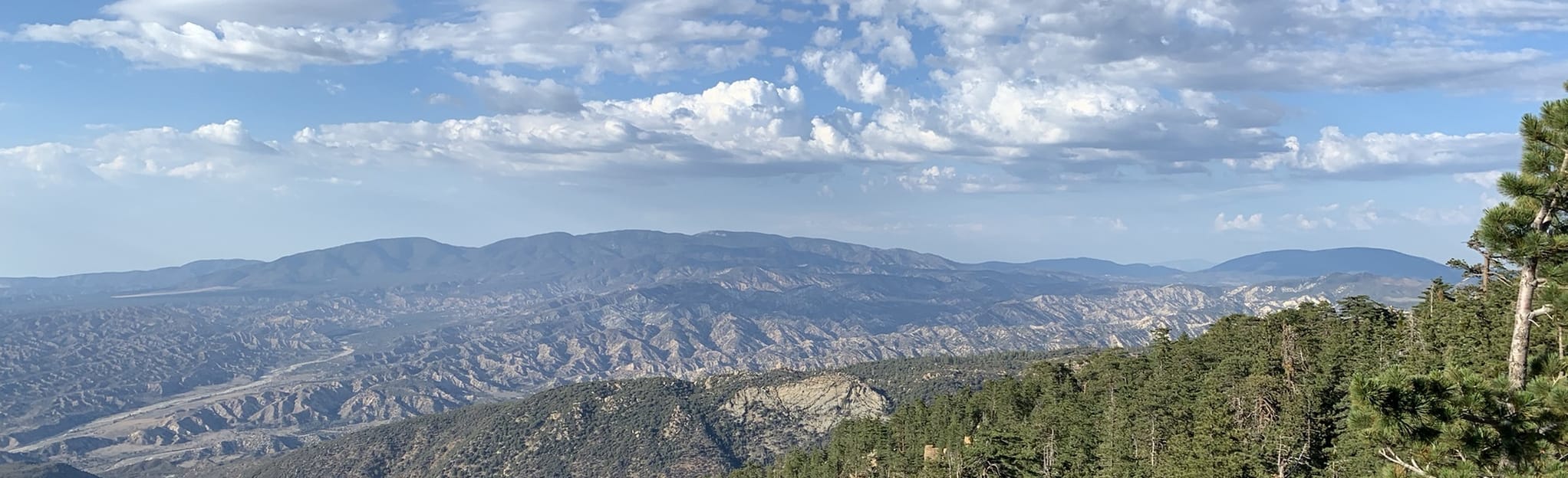 Reyes Peak Trail [FERMÉ] California AllTrails