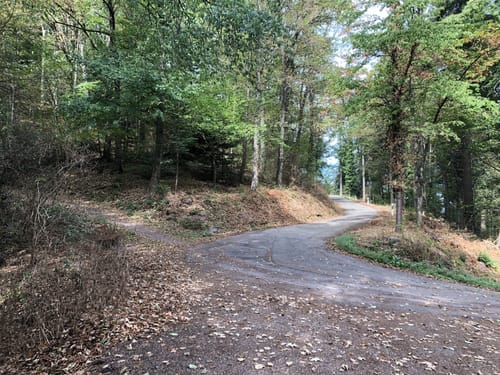 Yburg Rundweg: Zur Gipfelburg