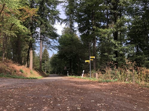 Yburg Rundweg: Zur Gipfelburg
