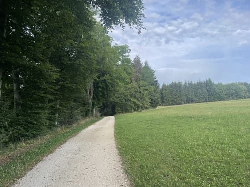Tieringer Hörnle (HochAlbPfad)