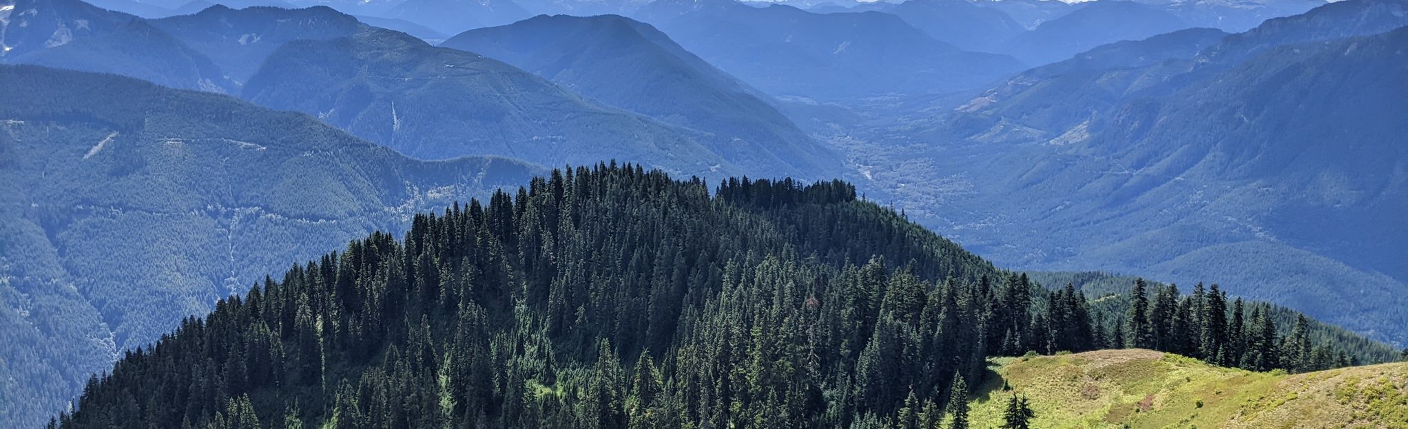 Evergreen Lookout Trail, Washington - 209 Reviews, Map | AllTrails