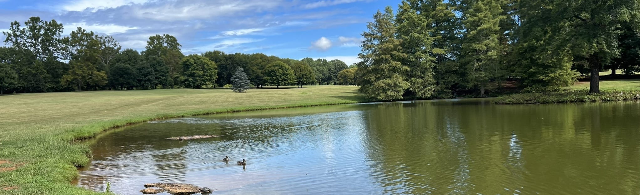 Milliken Arboretum Loop 76 Reviews, Map South Carolina AllTrails