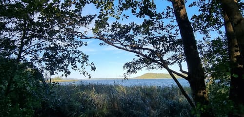 Insel Pulitz