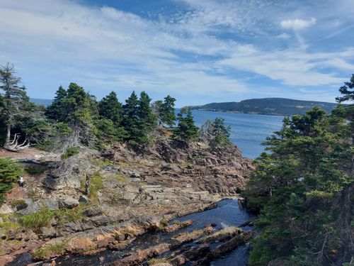 10 Best hikes and trails in East Coast Trails Newfoundland AllTrails