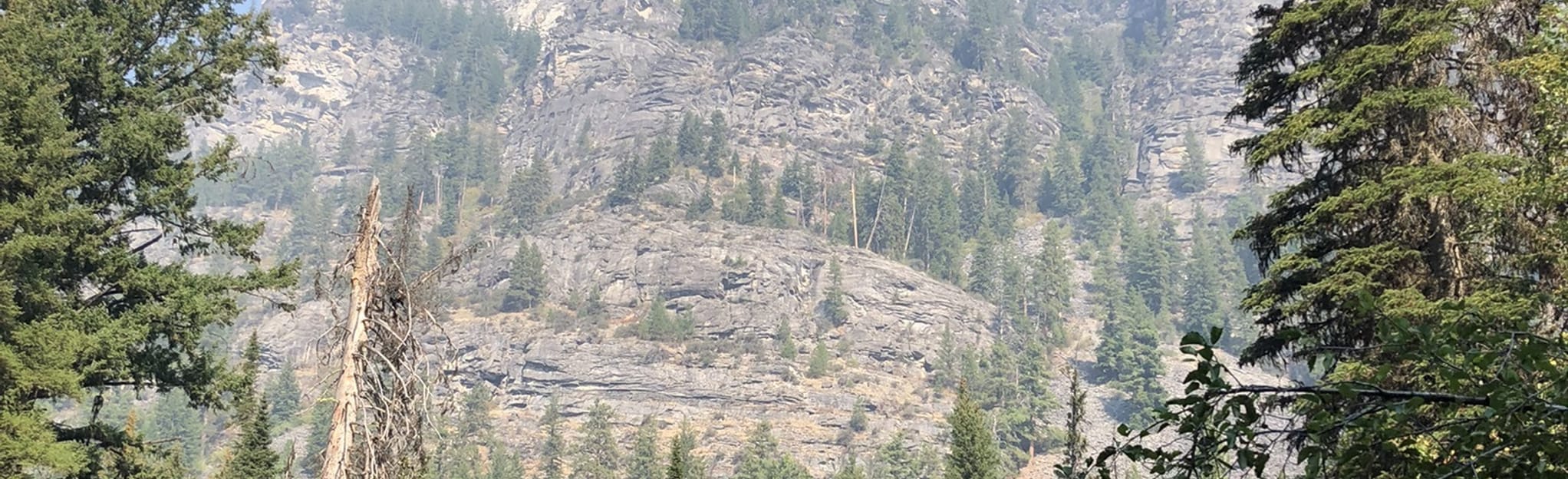 Tin Cup Creek Trail 28 Reviews, Map Montana AllTrails