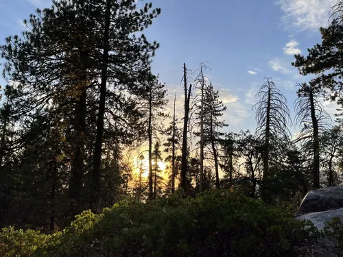 Sequoia national 2025 park alltrails