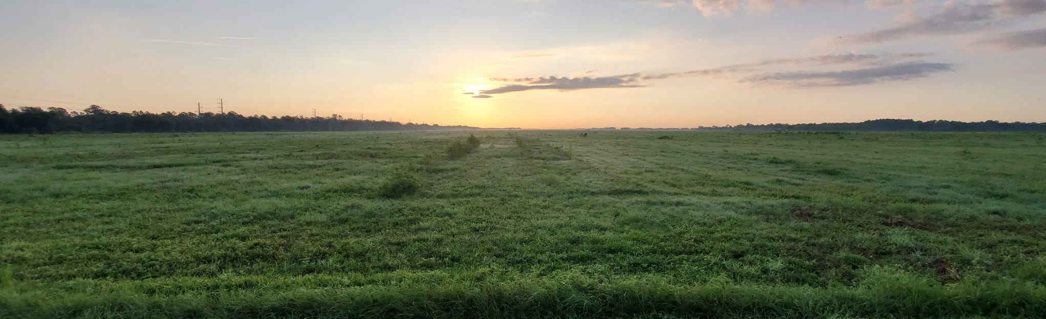 Northeast and Northwest Loop Map, Guide Florida AllTrails