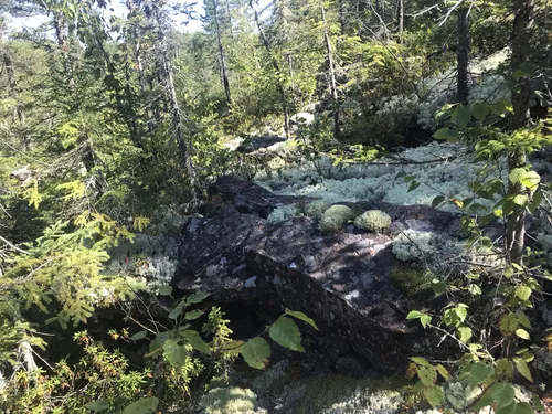 Best Walking Trails in SaintValérien AllTrails