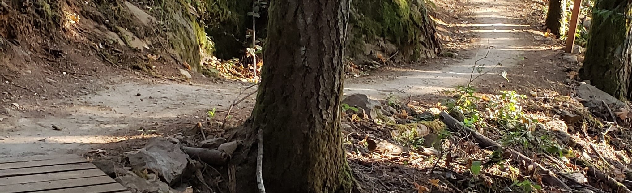 Ridgeline Summit loop via West Shore 14 Reviews, Map British