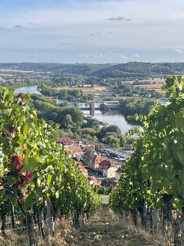 Weinberge bei Randersacker