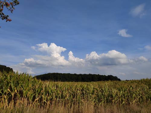Schweinebruch bis Lachtehausen