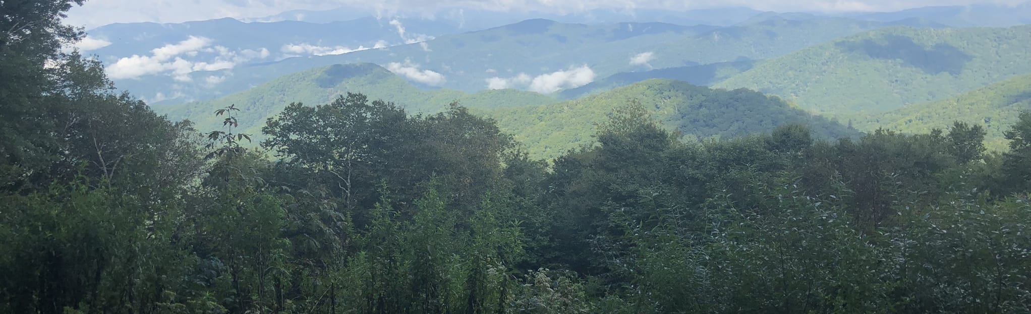 Flat Creek Trail 315 Reviews, Map North Carolina AllTrails