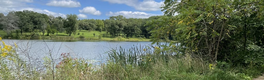 Stretch, Float, Meditate: Discovering Illinois Through SUP Yoga.